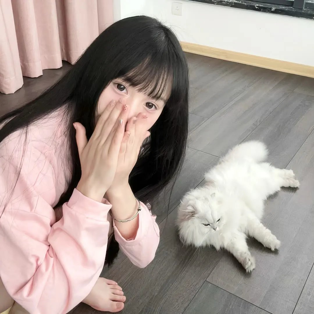 生命序曲